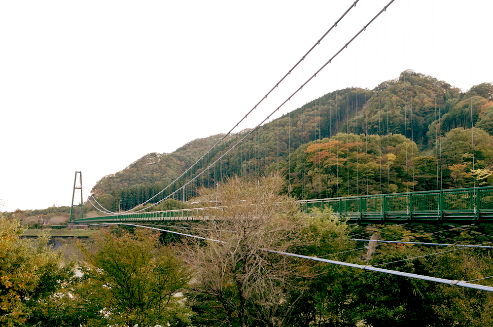 もみじ谷大吊橋1